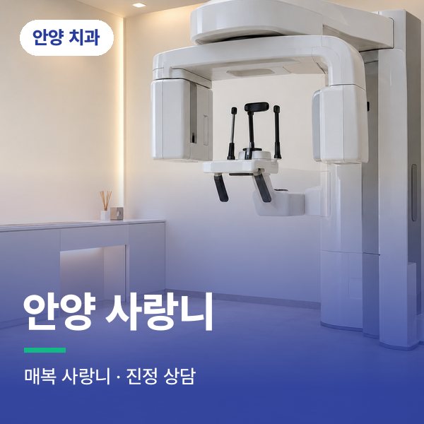 안양 사랑니
